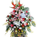 ţʻٵ