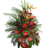 ţʻٵ